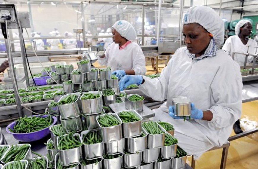 Forum africain sur le développement des pôles agroalimentaires intégrés à Kigali : L’Algérie en première ligne pour l’emploi décent en Afrique rurale