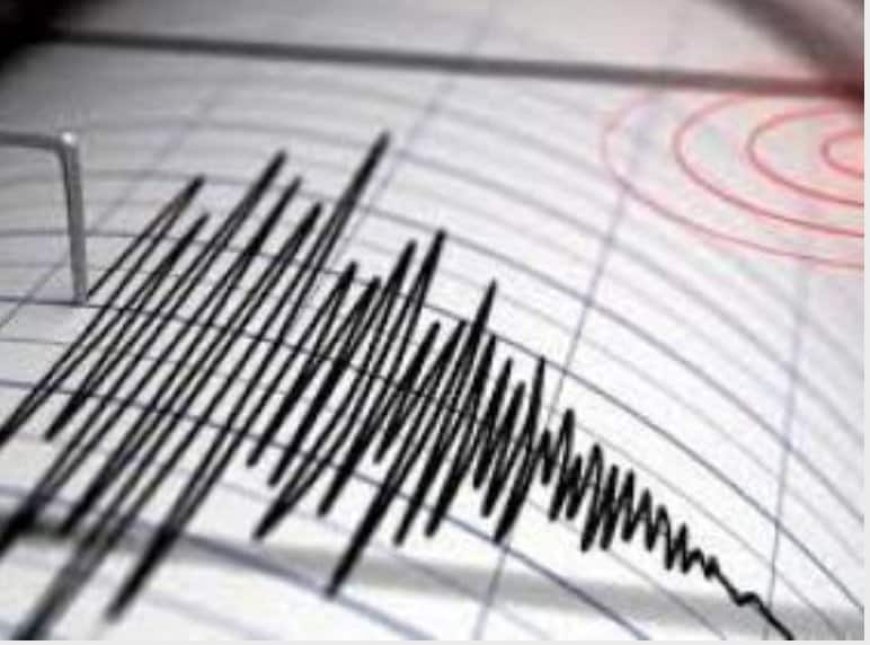 Secousse tellurique de magnitude 2,9 à Boumerdes