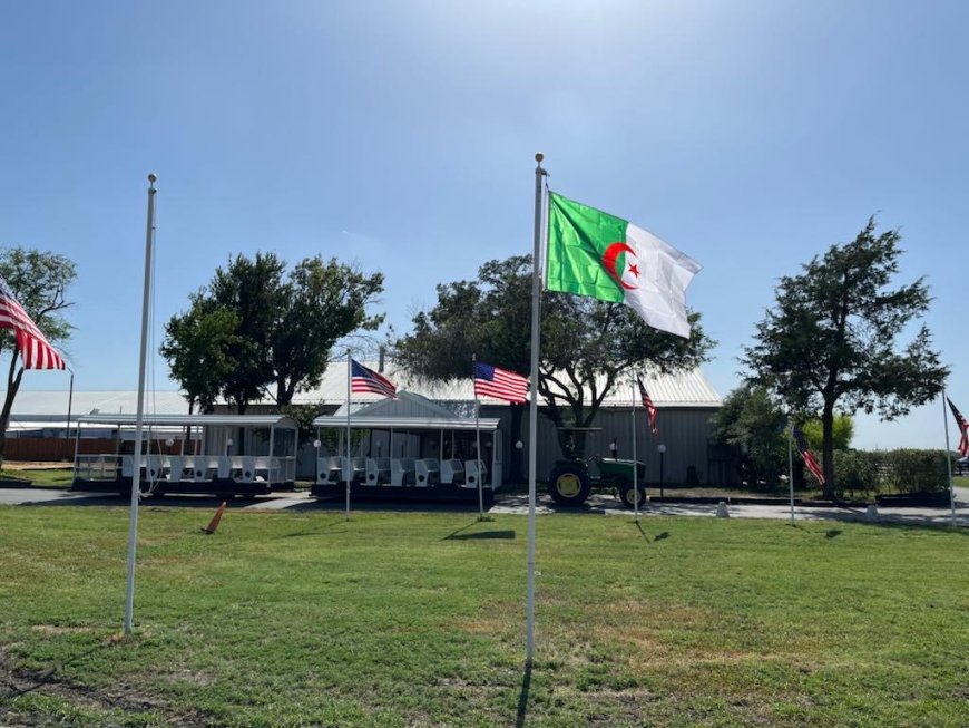 Le drapeau algérien flotte dans le ranch de la série Dallas