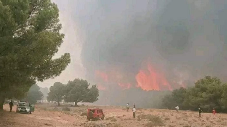 Oum El Bouaghi : un incendie se déclenche au Mont Sidi R’ghiss