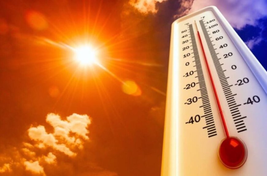 Canicule persistante en Algérie ce 9 juillet : alerte orange de niveau 2 dans ces wilayas