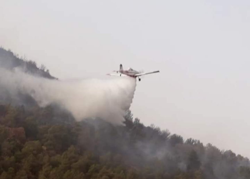 Batna : quatre avions bombardiers d’eau participent à l’extinction d’un incendie à djebel Fakra