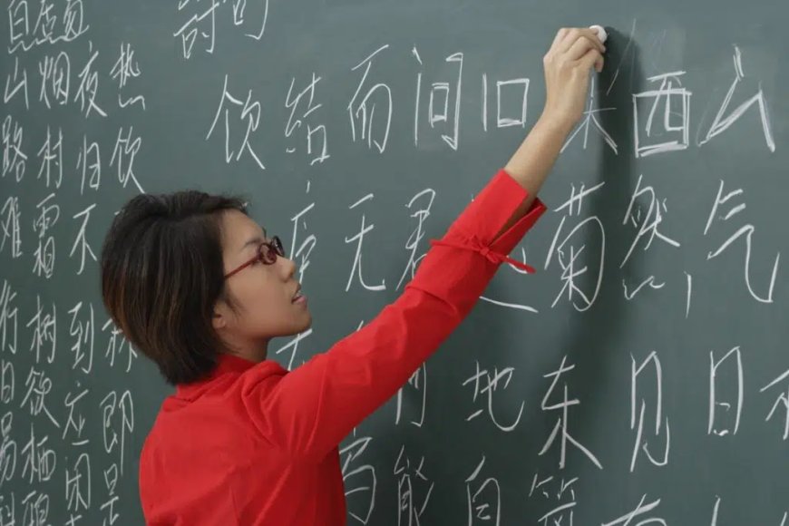 Formation universitaire : la construction automobile et la langue chinoise parmi les nouveautés