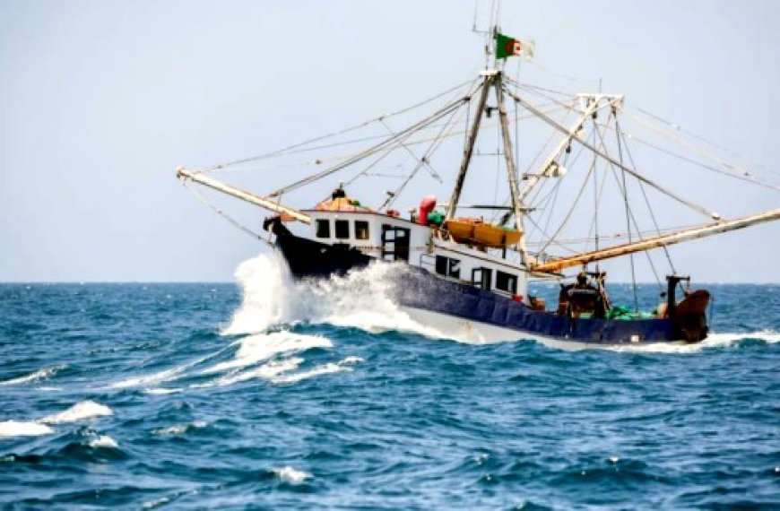 Séminaire sur la sécurité et la prévention des accidents maritimes à Annaba : Appel à protéger les travailleurs exerçant des métiers pénibles