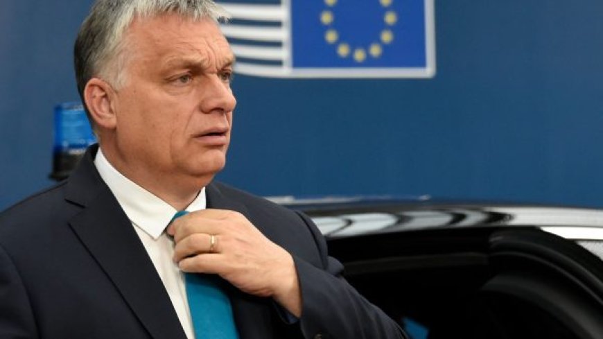 Paix en Ukraine : Le ‘’plan Orban’’ sur la table des responsables européens