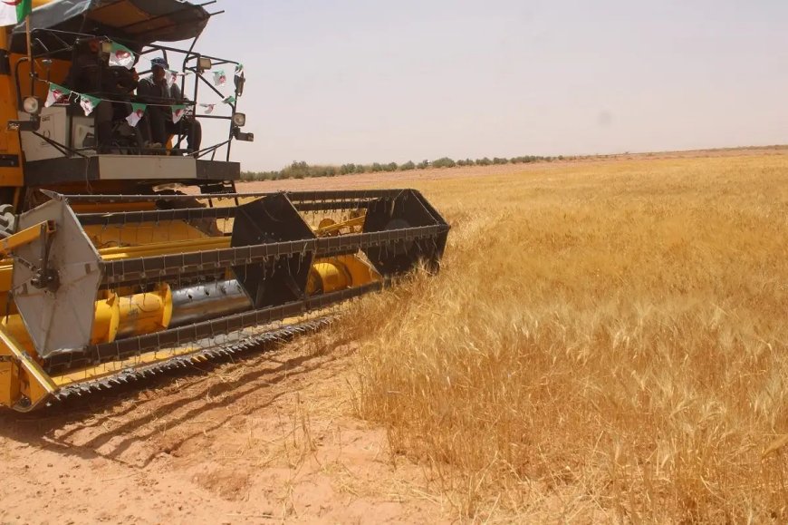 Grands périmètres dans les wilayas du Sud: Les bénéficiaires tenus de soumettre leurs plans agricoles