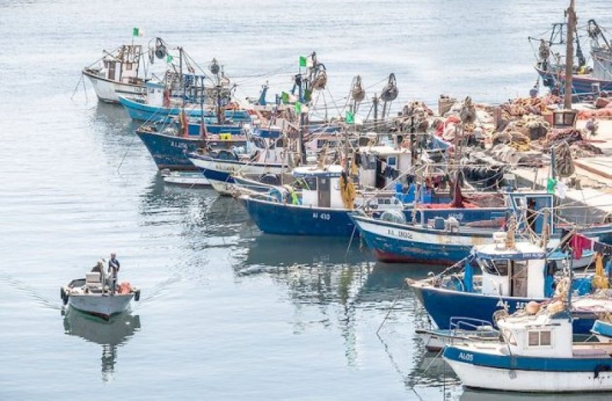 LE PROJET EST EN PHASE FINALE : Un nouveau port d’amarrage pour les petits métiers à Sidi Salem