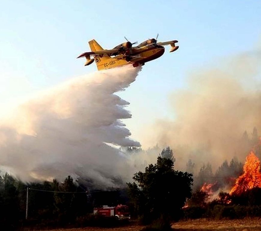 Feu de forêt à Boulimat/ Béjaïa: Des moyens aériens  ont permis l’extinction des flammes