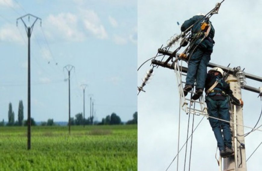 Électrification de plus de 150 exploitations agricoles à El Meneaâ