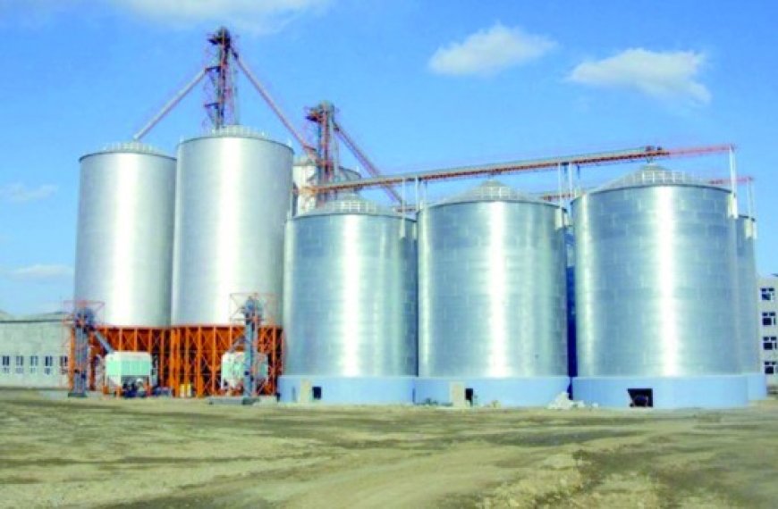 Réalisation de cinq silos à grains à Batna  : Le wali insiste sur l’accélération des travaux