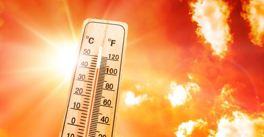 BMS – Canicule en Algérie : ce dimanche 28 juillet, le mercure atteint les 46 °C dans ces régions