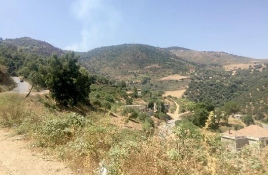 Incendie à Boumerdès : D’importants moyens pour sauver la forêt de Beni Khalfoun