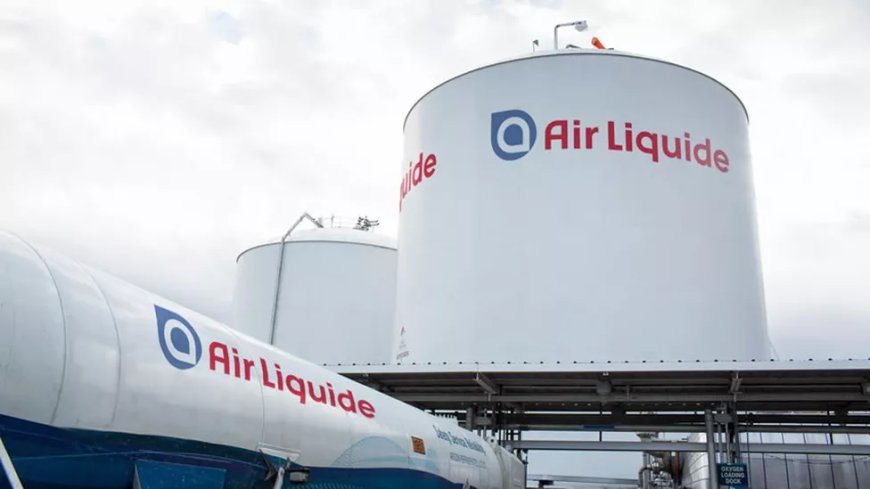 Adenia Partners finalise le rachat de 12 filiales africaines d’Air Liquide