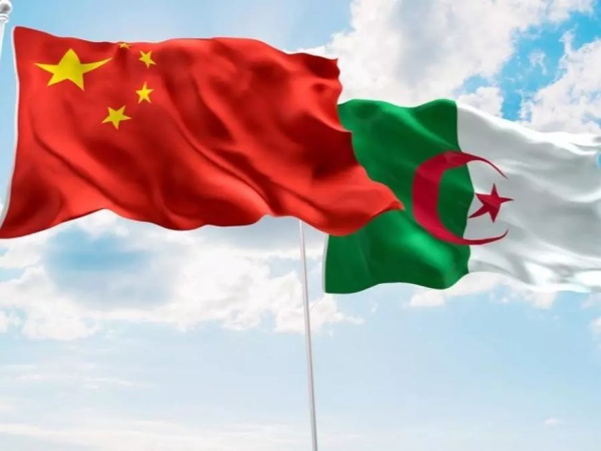 Algérie-Chine : Les échanges commerciaux ont dépassé 10 milliards de dollars en 2023