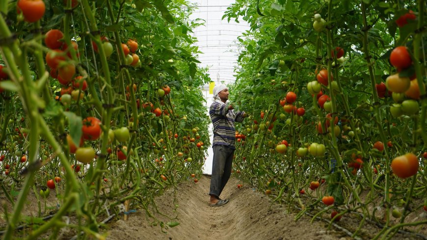 Afin de garantir la résilience de la production agricole : L’introduction de solutions innovantes s’impose