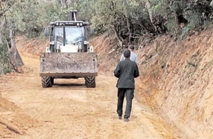 Tizi Ouzou : Des pistes forestières aménagées