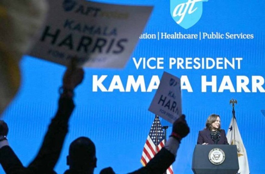 Etats-Unis : Kamala Harris engrange les soutiens de la culture pop