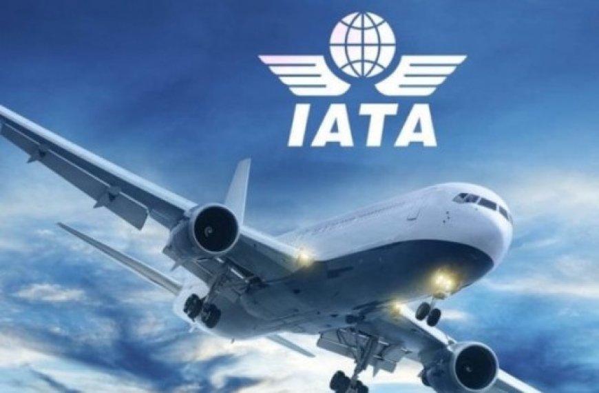 Transport aérien : L’IATA souligne les solides performances du secteur