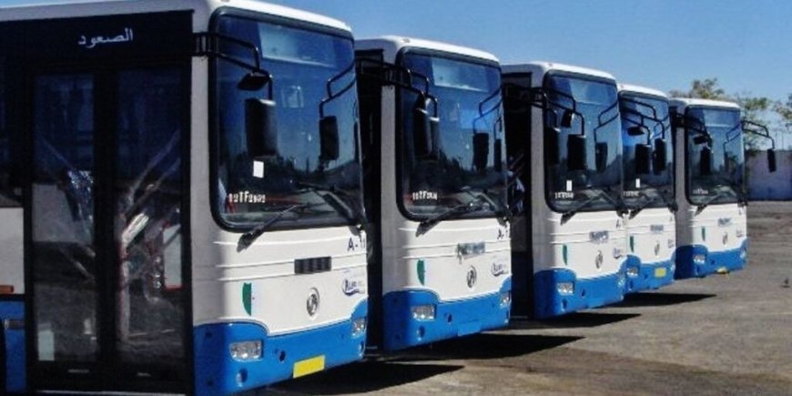 Été 2024 : ETUSA lance plusieurs lignes de bus à l’occasion de la saison estivale