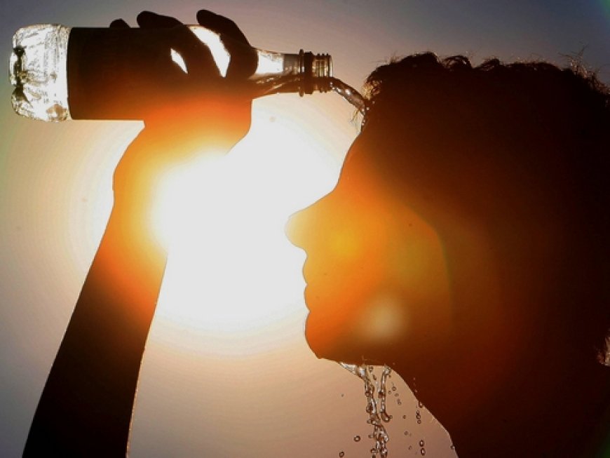 Persistance de la canicule : Conseils et mises en garde