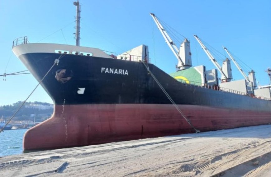 Un différend à l’origine de la rétention une cargaison de 15 000 tonnes d’acier : Le navire Fanaria immobilisé au port de Annaba