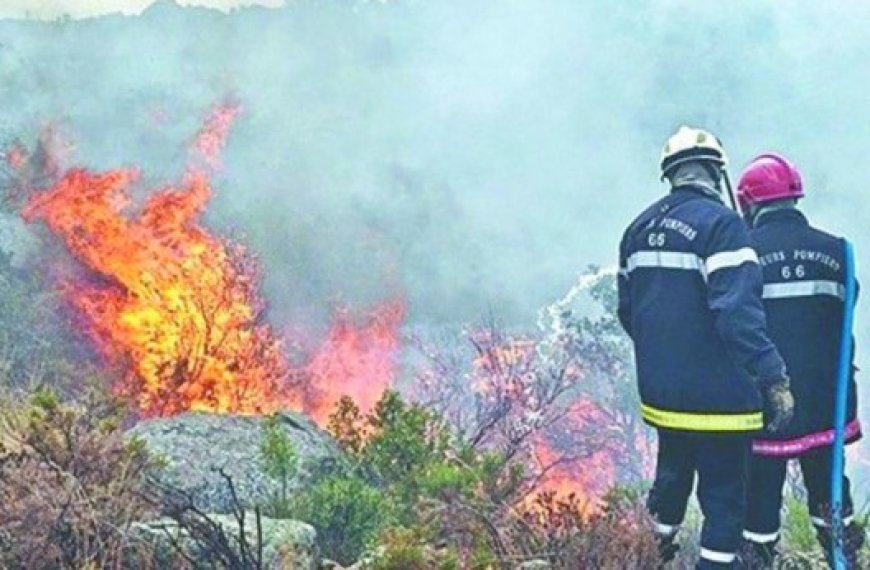 Protection civile : Plusieurs incendies maîtrisés en 48H