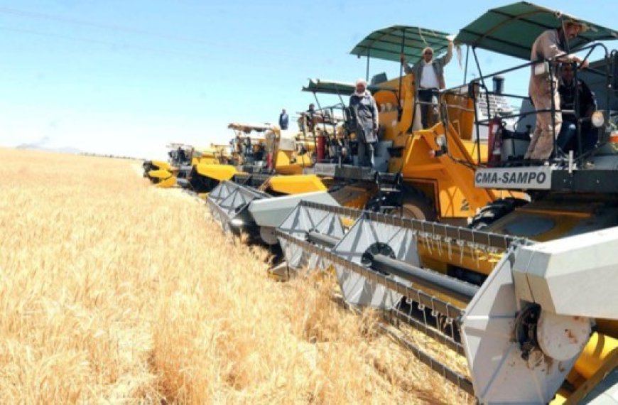 Calamités agricoles : Le dispositif d’assurance en attente de lancement