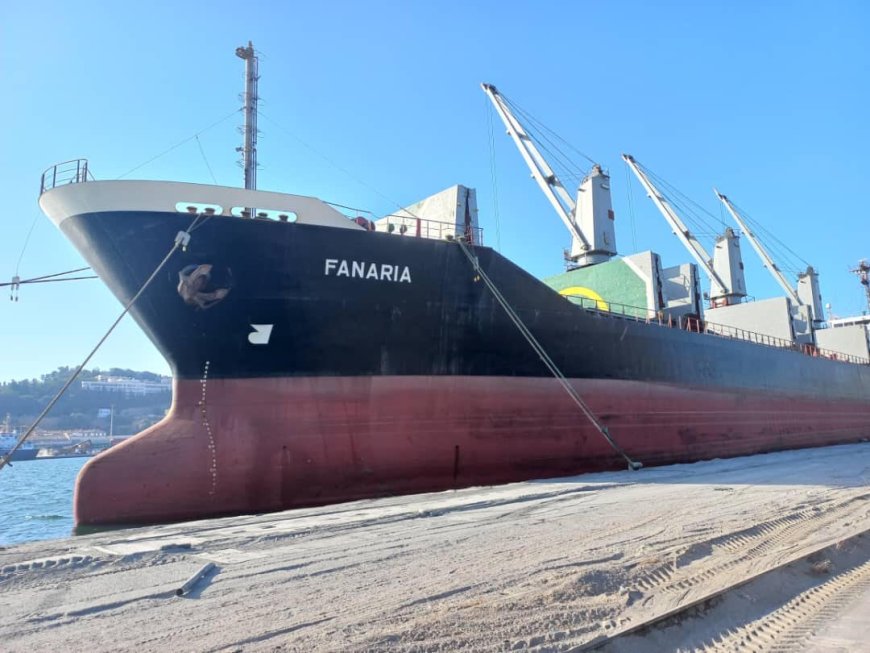 Port d’Annaba : le navire Fanaria immobilisé suite à un accident lors du chargement de sa cargaison d’acier