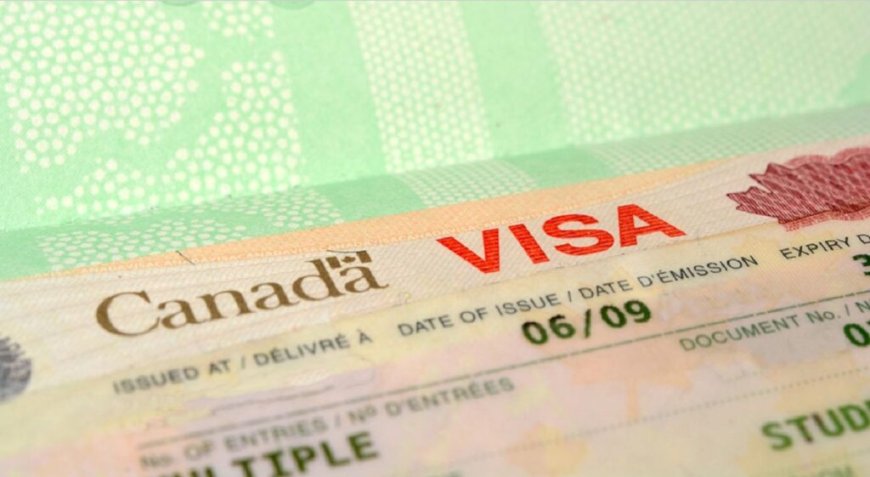 Demande de visa pour le Canada : des délais réduits pour les Algériens