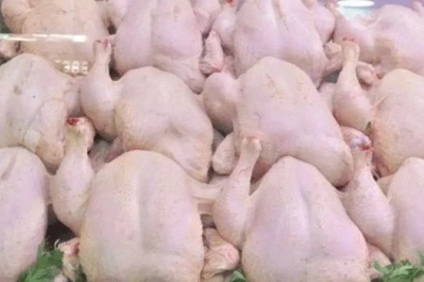 Viandes blanches : le poulet à 295 DA/kg dès demain