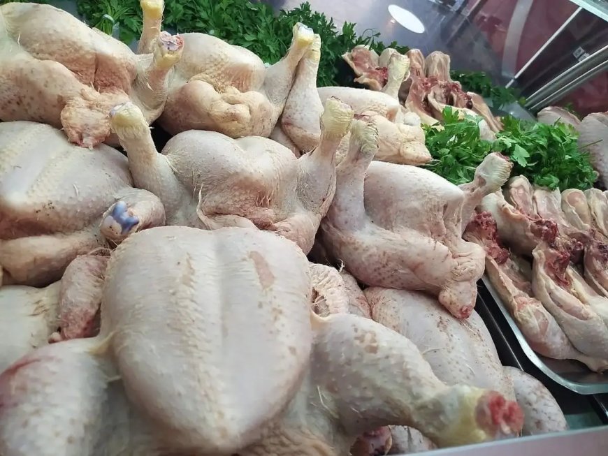 Viandes blanches : commercialisation du poulet au prix de 295 DA/kg à partir de jeudi