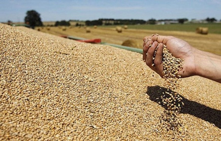 Réalisation de silos de stockage de céréales : Déclassement de plus de 86 hectares de terres agricoles