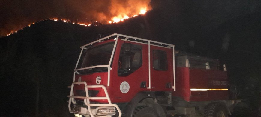 Tizi Ouzou : des feux forêt ravageurs à Beni Douala, des familles fuient leurs maisons