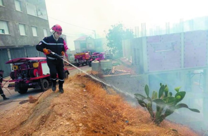 Incendies ravageurs à Tizi Ouzou : Nuit d’angoisse sous la menace des flammes