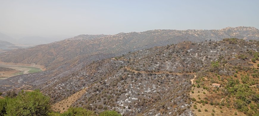 Point de situation sur les incendies de forêt