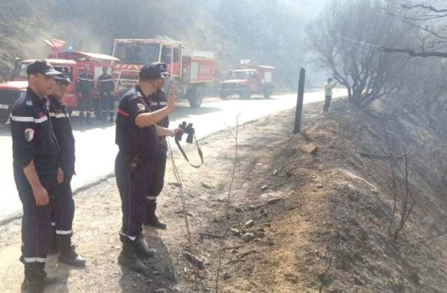 Pour intervenir en cas de résurgence des flammes à Tizi Ouzou : La Protection civile maintient son dispositif