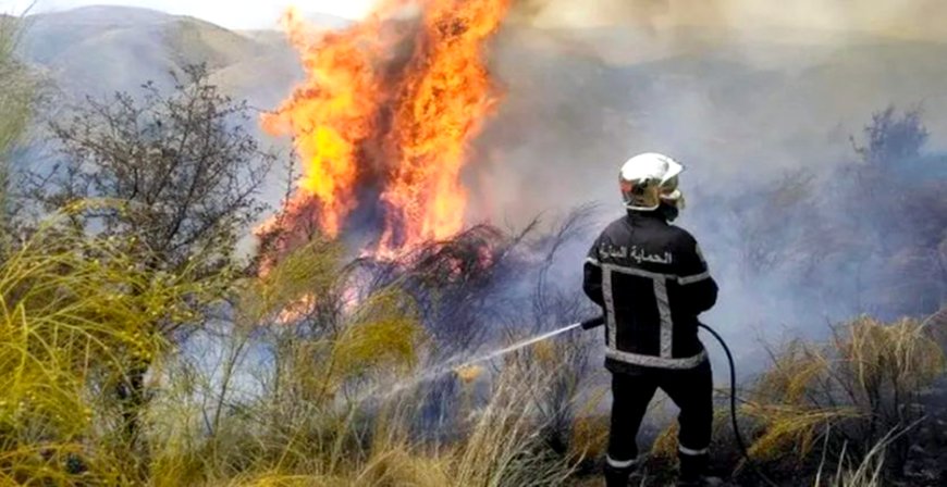 Avec au minimum 30 000 hectares ravagés chaque année: Feux de forêt : la situation  ira de mal en pis