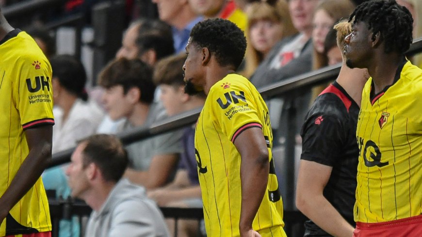 Larouci brille efficacement avec Watford