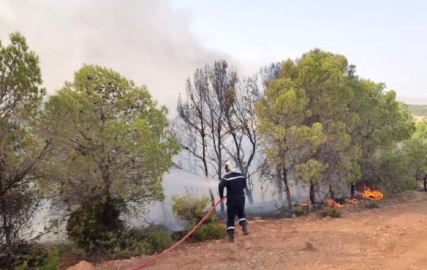 Tizi Ouzou : Arrestation des auteurs présumés de l’incendie de Draâ El Mizan