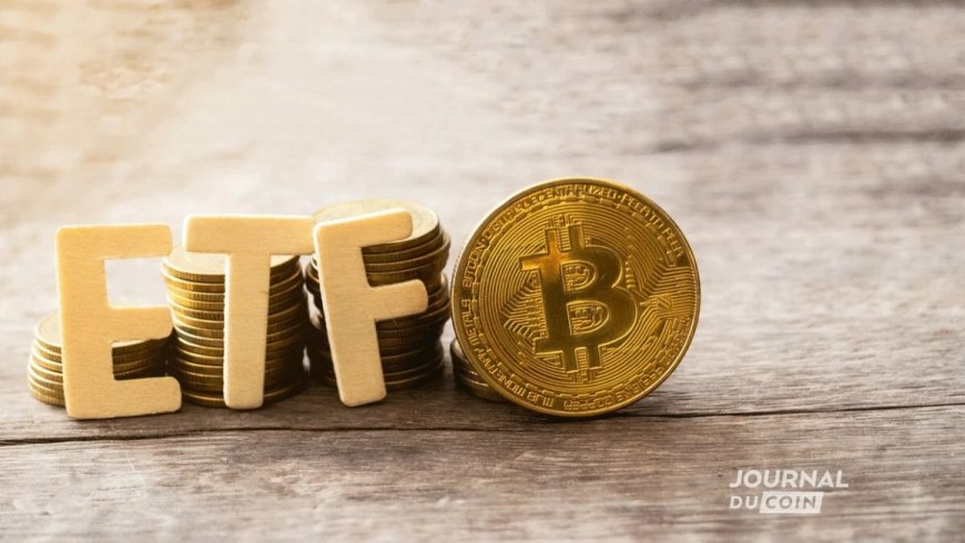 Cryptomonnaies : L’Énigme des ETF Bitcoin Spot et leur Impact Futur