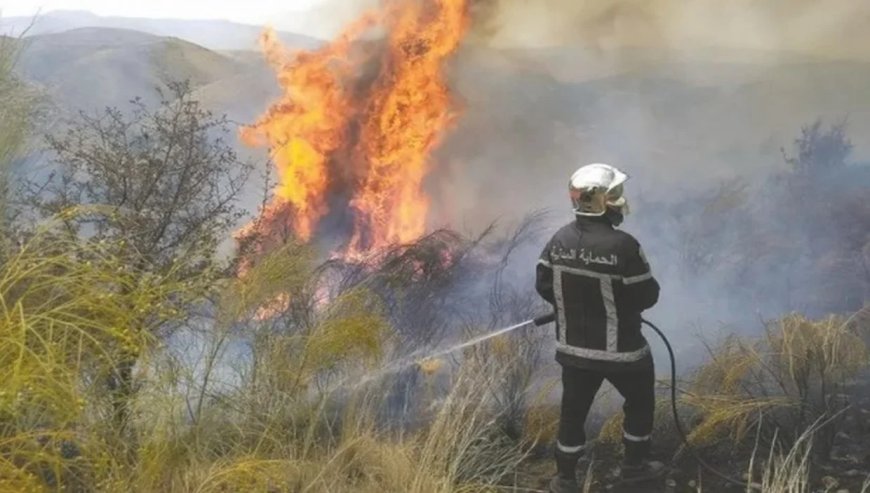 Feu de forêt à Mechroha :L’intervention rapide de la PC a permis d’éviter le pire