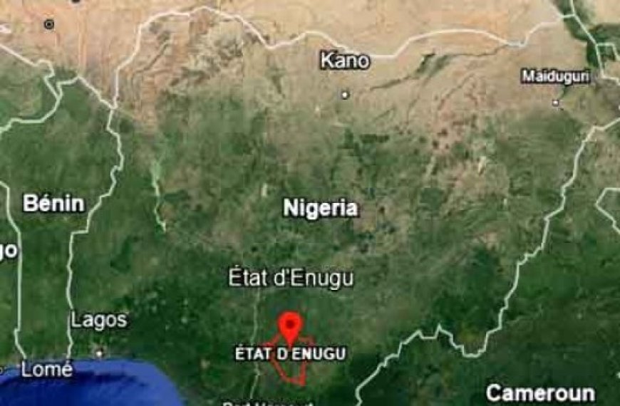 Nigeria : 20 étudiants en médecine kidnappés dans l’est du pays