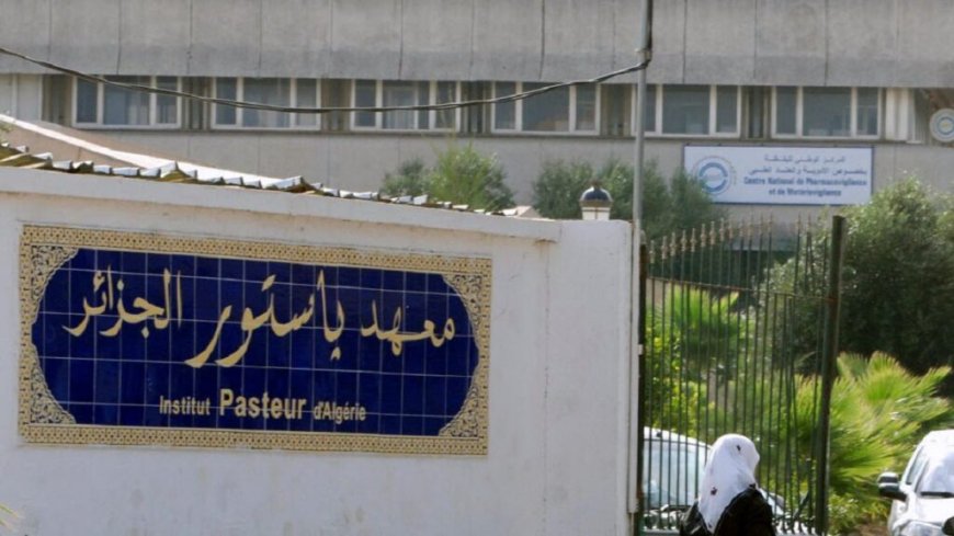 Transmission, prévention et symptômes du Mpox : les précisions de l’Institut Pasteur d’Algérie