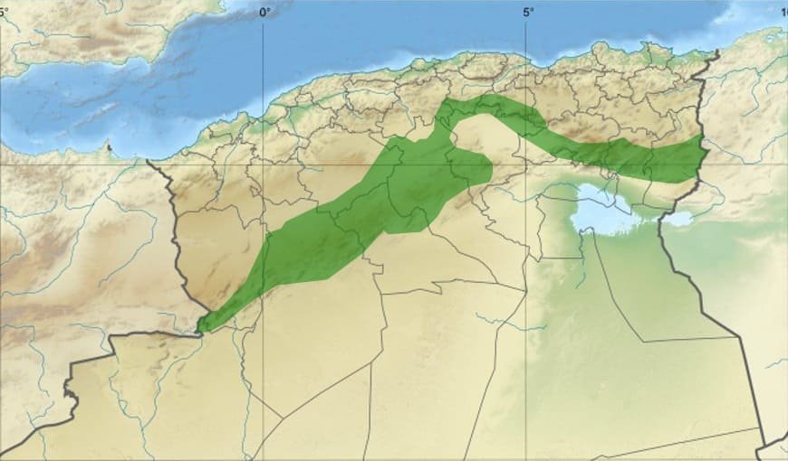 Réhabilitation du barrage vert : reboisement de 400.000 hectares d’ici 2027