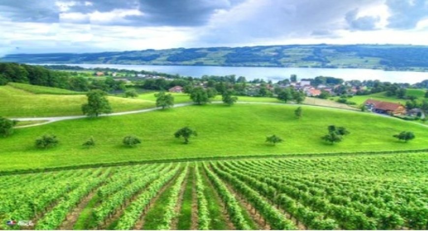 Médéa: Remise d’actes de concession de terrains agricoles