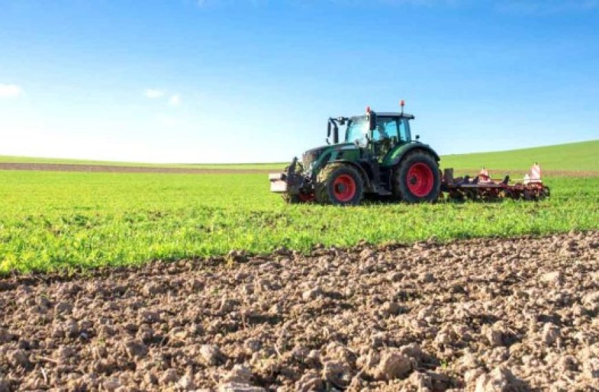 Exploitation de terres agricoles à Médéa : Remise d’actes de concession