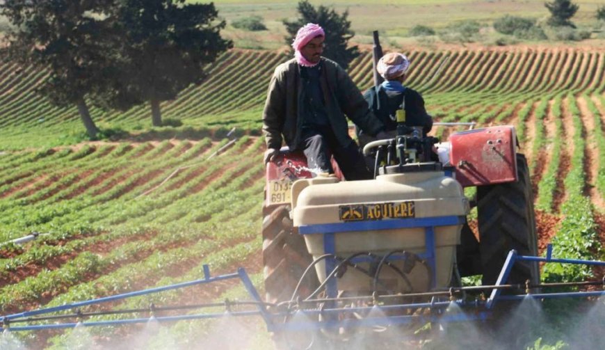 Les agriculteurs algériens placent de grands espoirs dans le prochain président