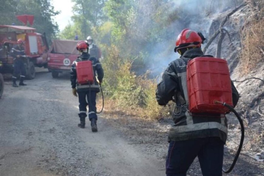 Incendies en Algérie : plusieurs feux de forêt déclarés à travers le pays