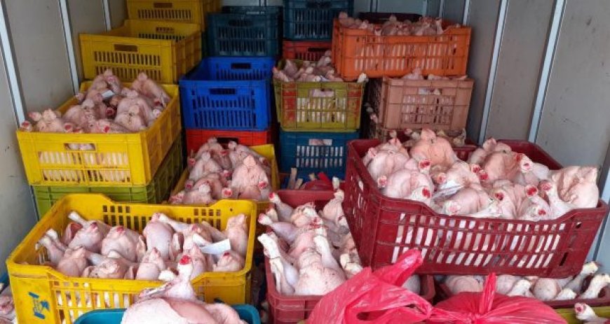 Une tonne de viande blanche avariée saisie à Alger 