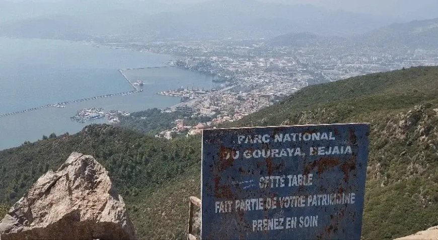 Parc National de Gouraya à Béjaïa : Entre histoire, nature et défis de préservation